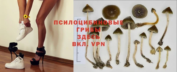 гашик Аркадак