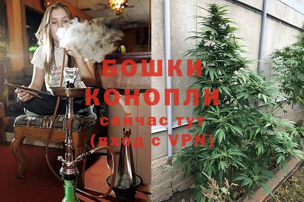 гашик Аркадак