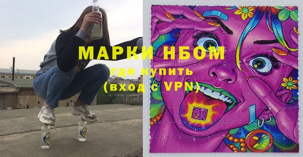 гашик Аркадак