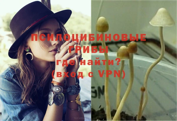 apvp Арсеньев