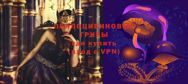 гашик Аркадак